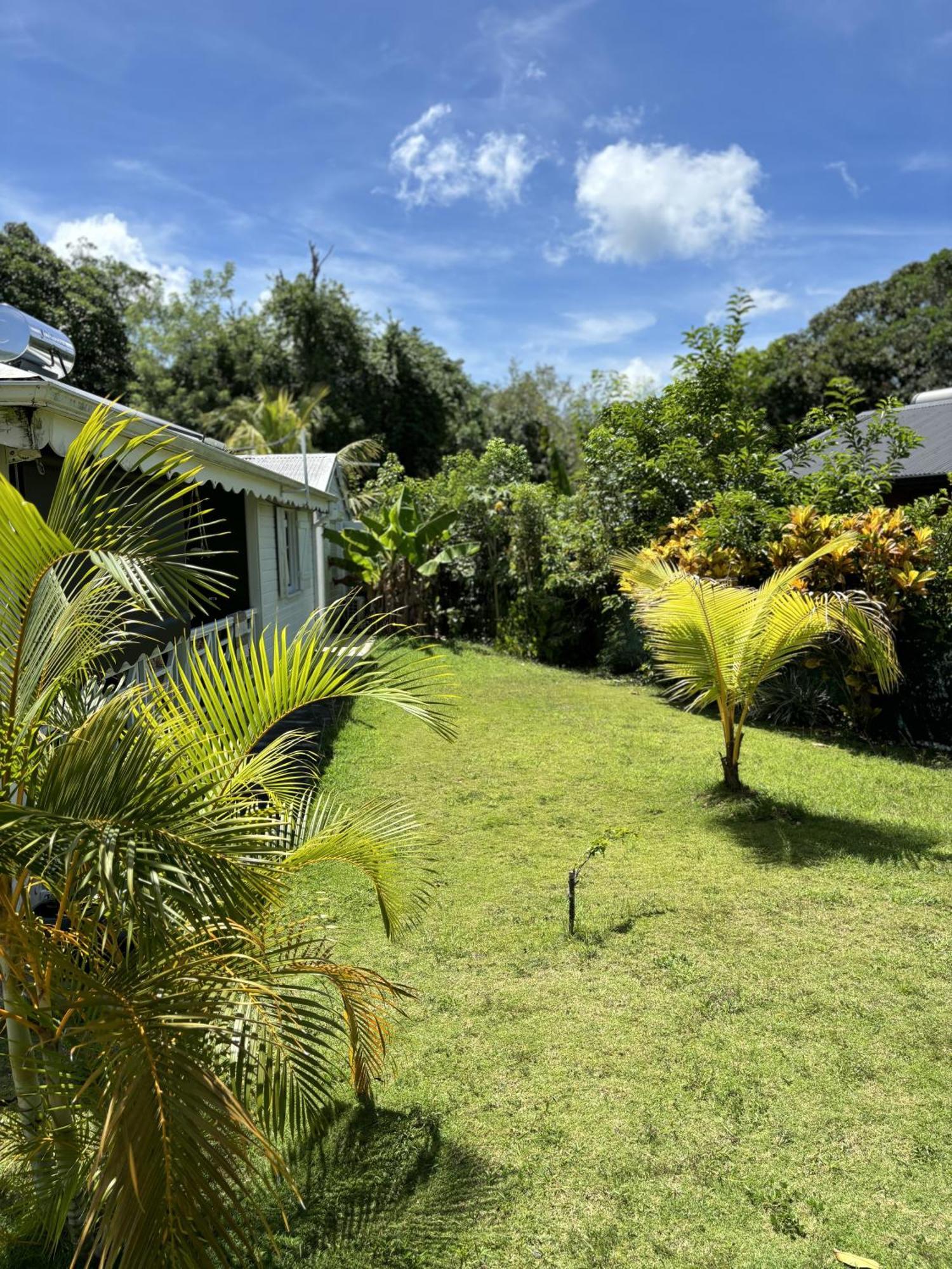 La Maison Creole Du Flamboyant - Proche Des Plages Anse-Bertrand Ngoại thất bức ảnh