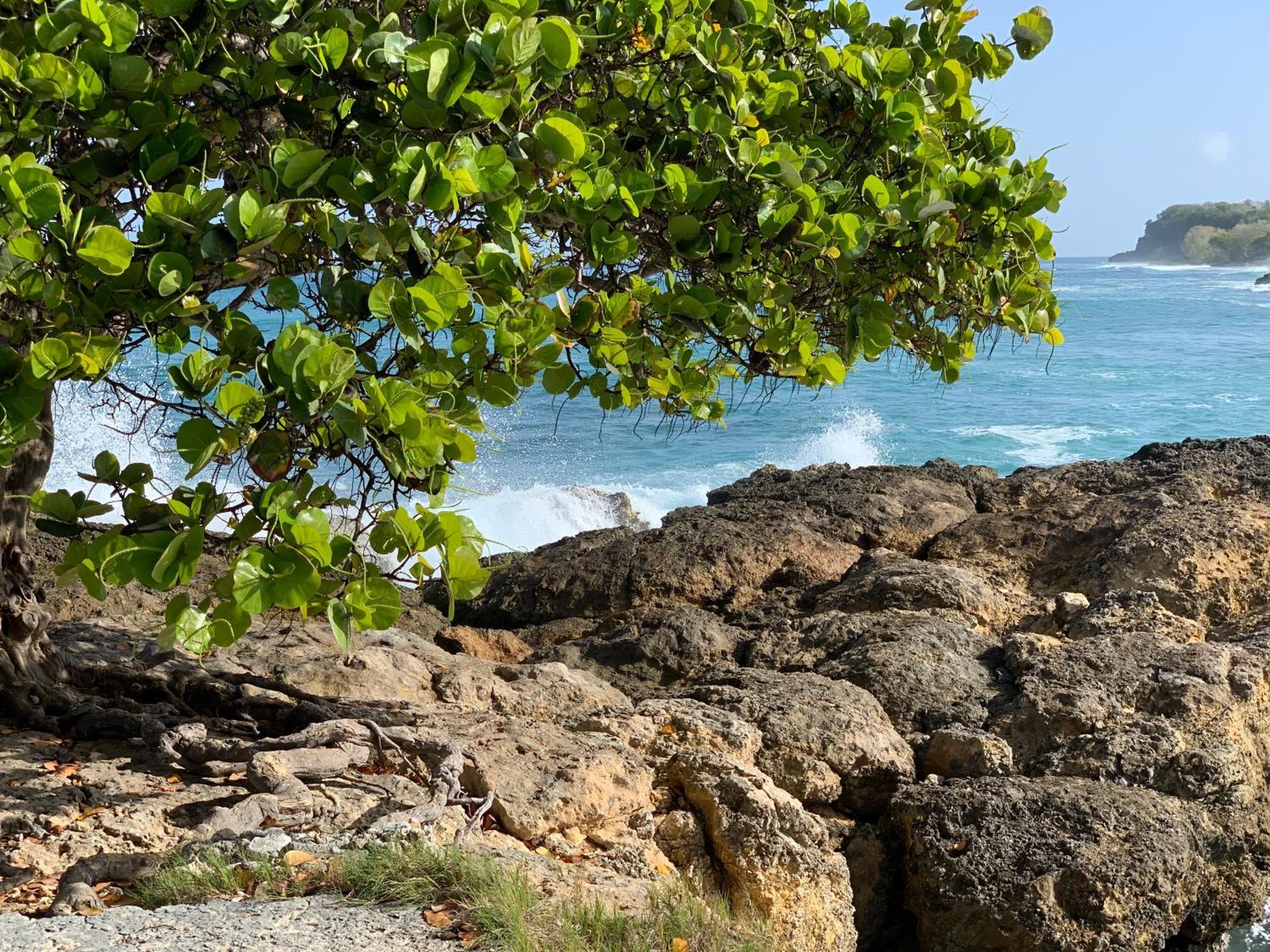 La Maison Creole Du Flamboyant - Proche Des Plages Anse-Bertrand Ngoại thất bức ảnh